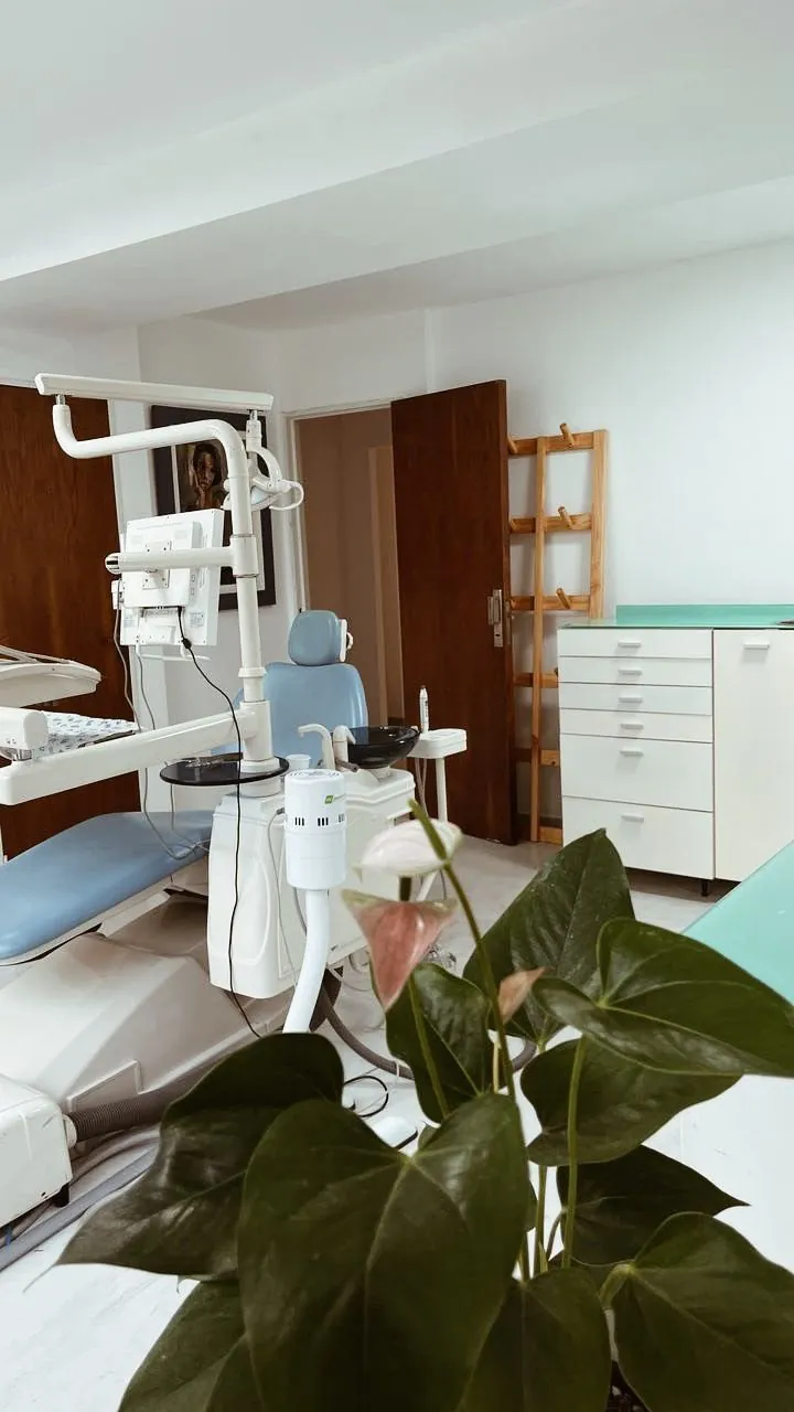 Sillón odontológico del consultorio con plantas